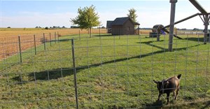 ASRock chính thức hỗ trợ tính năng điều khiển và đồng bộ hóa RGB Dynamic Lighting của Windows 11